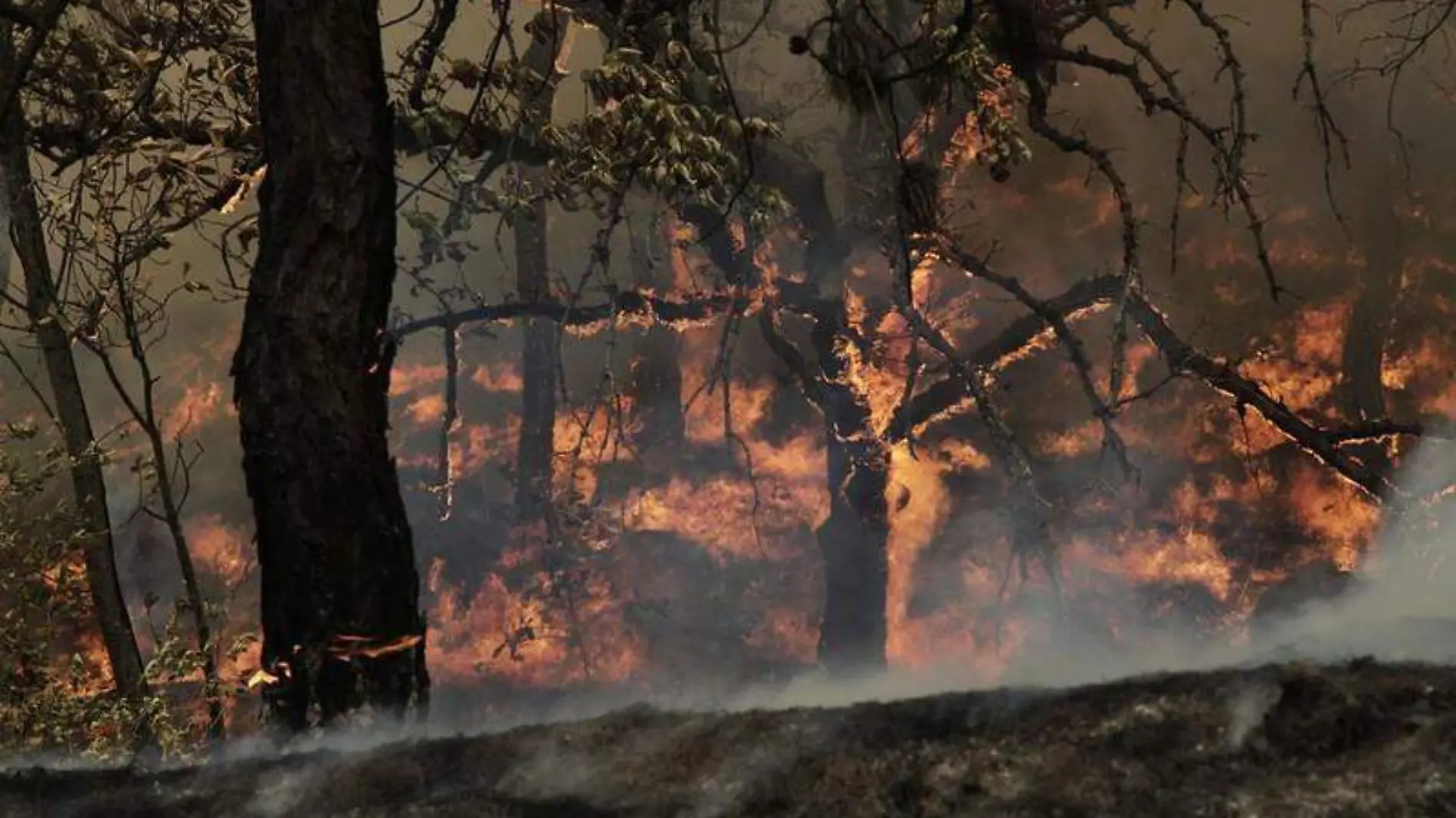 Incendio en el Bosque La Primavera